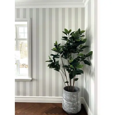Trygg betalning Fiona Walldesign Home Paper 100702 Tapet